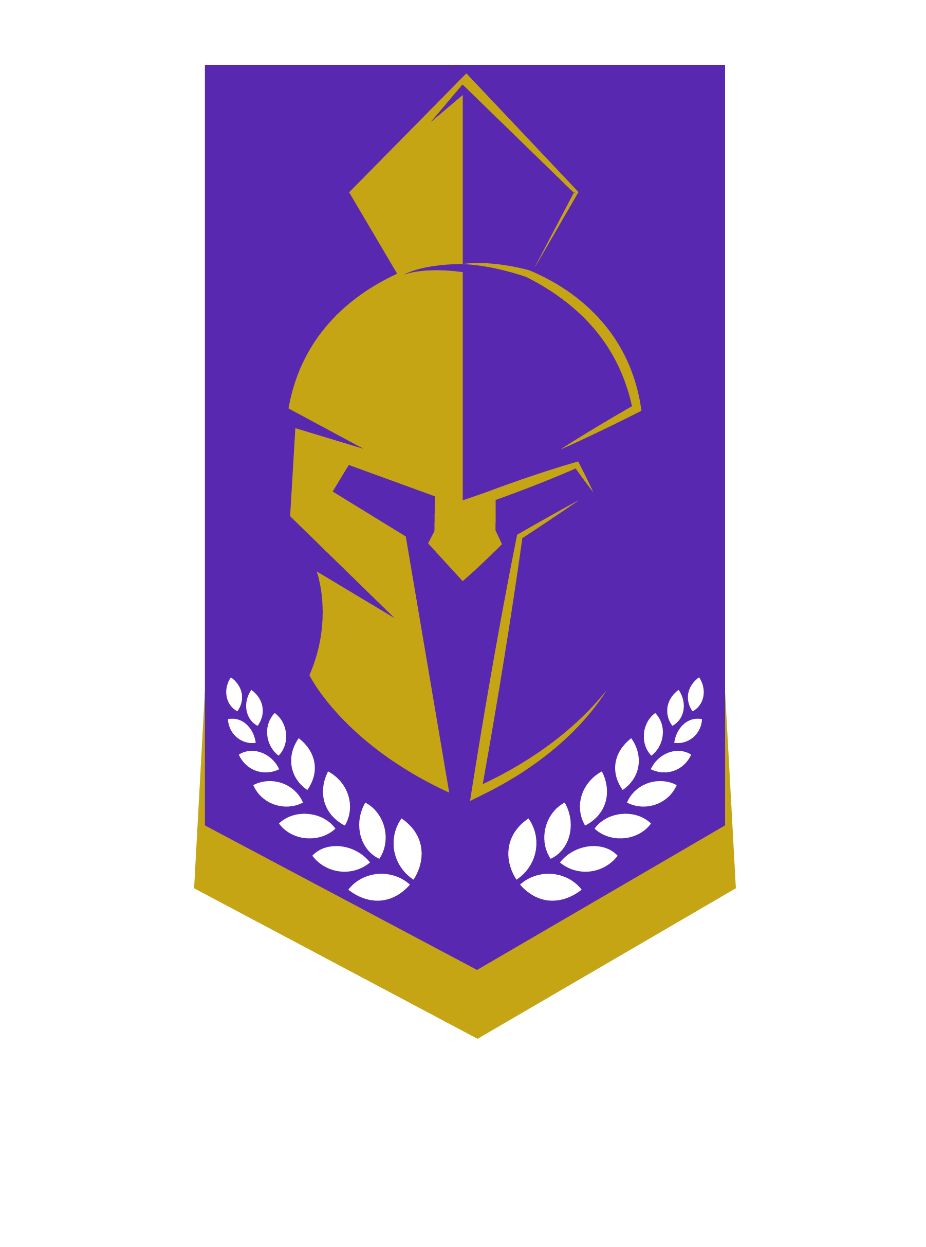 Logo Brigada 46